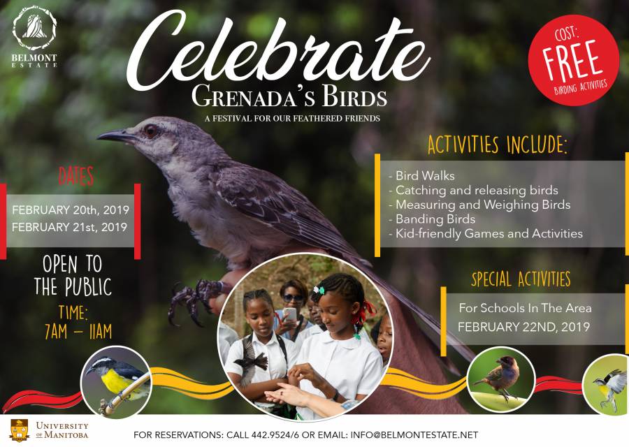 Belmont Estate Hosts Birding Festival With Gaea And University Of